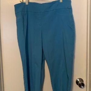 Baby blue pull on capris